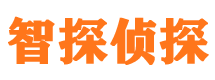 海晏外遇调查取证